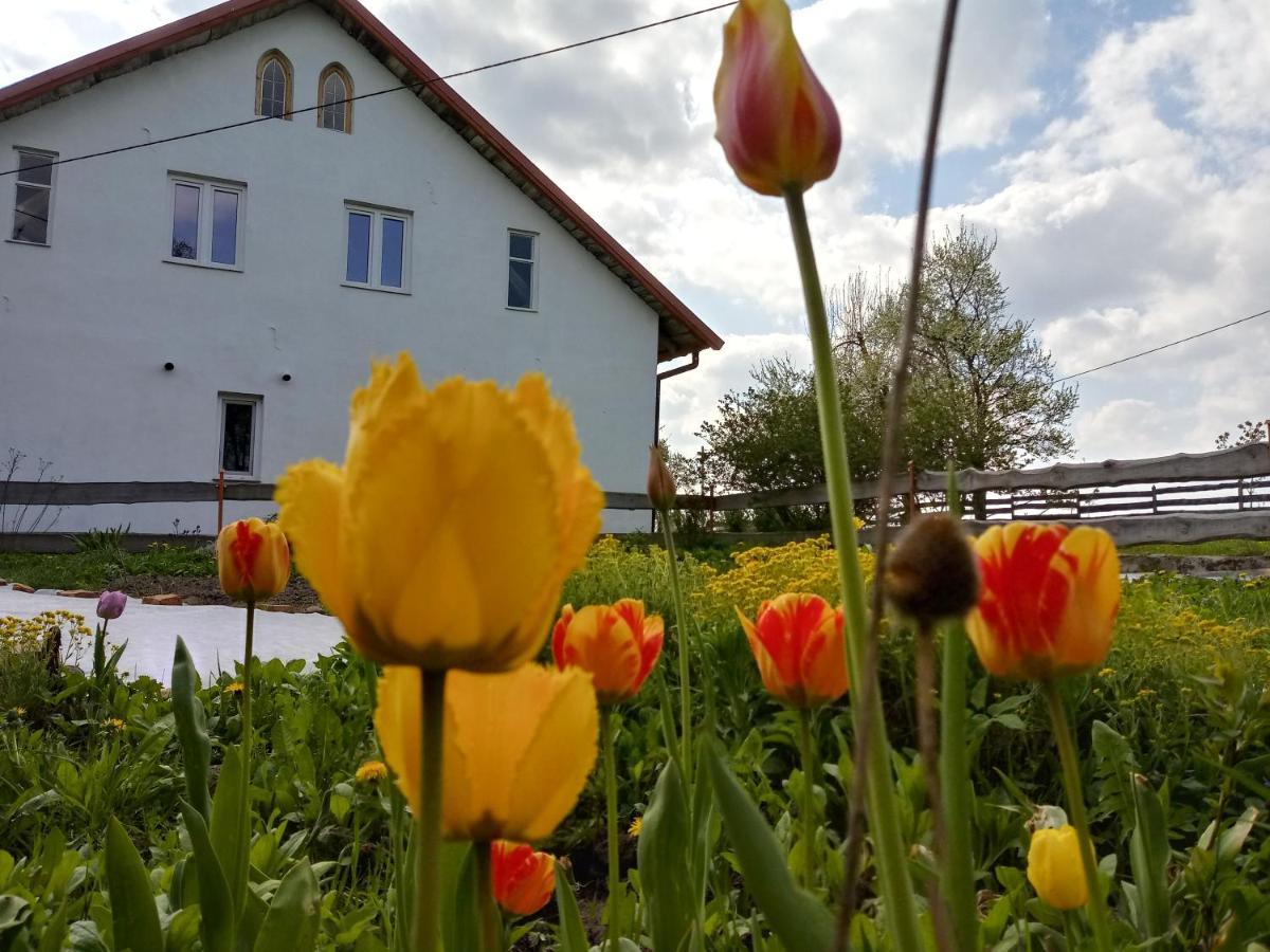 Zakatek Szczescia Eko Agroturystyka Kiwity Kültér fotó