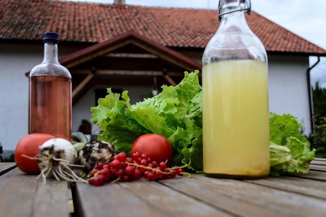 Zakatek Szczescia Eko Agroturystyka Kiwity Kültér fotó