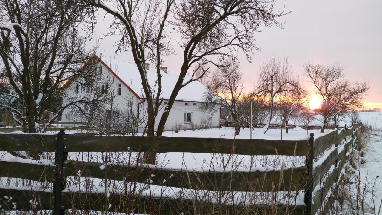 Zakatek Szczescia Eko Agroturystyka Kiwity Kültér fotó